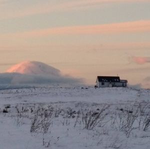 Meet your Posher, Jane